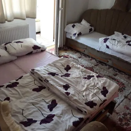 Pahuljica Ponijeri